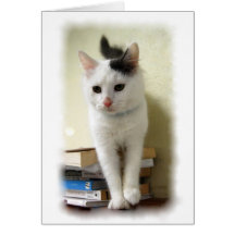 Gatito en tarjeta de libros