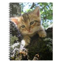 Gatito en un árbol libros de apuntes