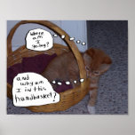 Gatito en un Handbasket Posters