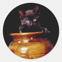 Gatito en un pote pegatina redonda