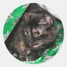 Gatito envuelto regalo pegatinas  