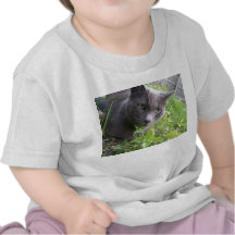 gatito gris del gato del gatito del verano camisetas