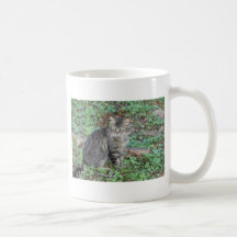 Gatito gris taza