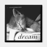 Gatito ideal - imán