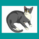 Gatito Kat tarjetas postales