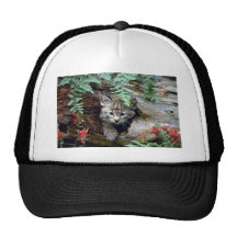 gatito Lince-verano-joven en registro hueco Gorro De Camionero