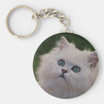 Gatito lindo curioso llavero personalizado