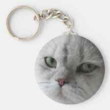 Gatito lindo del gato persa llaveros