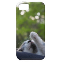 Gatito lindo el dormir iPhone 5 protectores