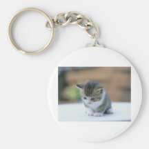 Gatito lindo llavero personalizado
