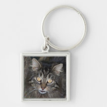 Gatito lindo llaveros personalizados