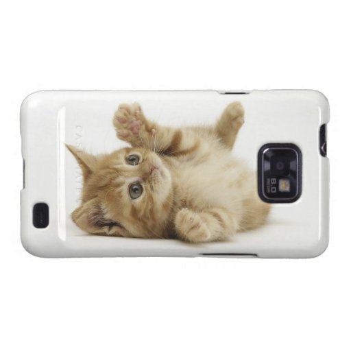 Gatito lindo samsung galaxy SII fundas