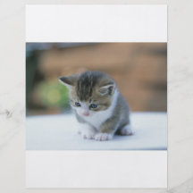 Gatito lindo tarjetas publicitarias