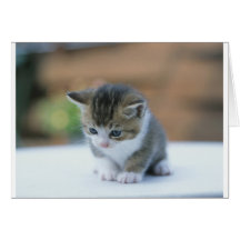 Gatito lindo tarjetón