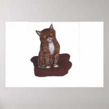 Gatito, lindo Y asustadizo Posters