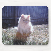 Gatito Mousepad de la primavera