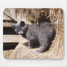 Gatito Mousepad del granero Tapete De Ratones