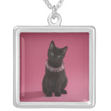 Gatito negro que lleva el collar jeweled