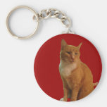 Gatito orgulloso llaveros personalizados
