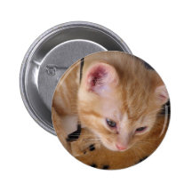 GATITO PINS