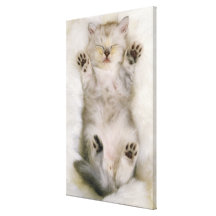 Gatito que duerme en una alfombra mullida blanca,  lienzo envuelto para galerías