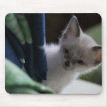 Gatito que enarbola Mousepad