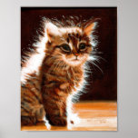 Gatito que se sienta en el poster de Sun