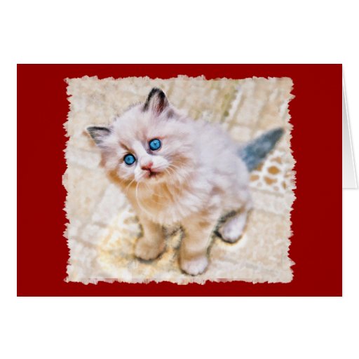 Gatito siamés con los ojos azules conmovedores felicitacion 