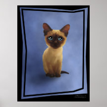 gatito siamés poster_Baby