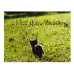Gatito solo "que le falta" postal *Customizable