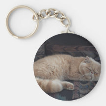 Gatito soñoliento llavero