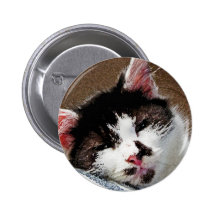 Gatito soñoliento pin
