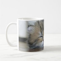 gatito tazas de café