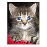 Gatito triste - postal de SRTA. YOU de I