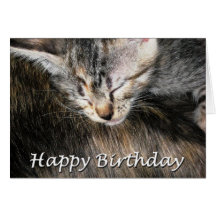 Gatito y gato del feliz cumpleaños tarjeton