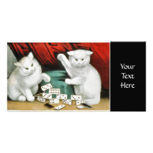 Gatitos blancos con dominós tarjetas con fotos personalizadas
