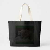 Gatitos de "Naptime" Bolsa De Mano