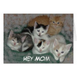 Gatitos del día de madre felicitacion 