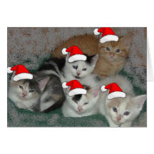 Gatitos del navidad felicitaciones