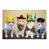 Gatitos del pueblo posters