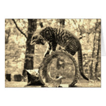 Gatitos del rescate que juegan en un saludo de Not Tarjetas