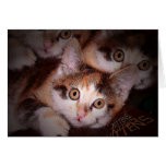 Gatitos, gatitos, tarjeta de felicitación de los g