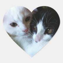 Gatitos mimosos pegatina corazon personalizadas