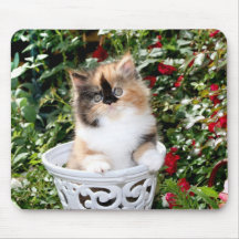 Gatitos persas Mousepad del calicó acogedor de los Alfombrillas De Ratón