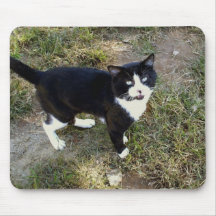 Gato 10, cojín de ratón alfombrilla de raton
