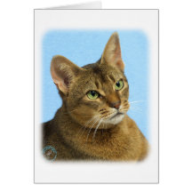 Gato abisinio 9Y009D-036 Felicitacion
