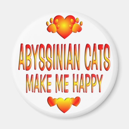 Gato abisinio imán