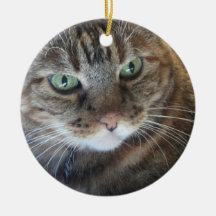 Gato Adorno De Reyes