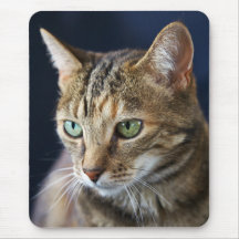 Gato Alfombrilla De Ratón