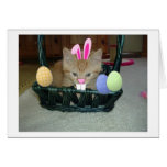 Gato anaranjado del gatito del Tabby de Pascua Tarjetón